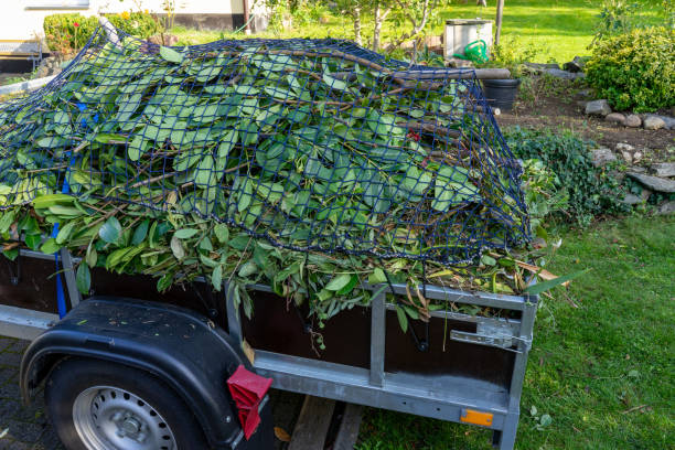 Best Yard Waste Removal  in South Zanesville, OH